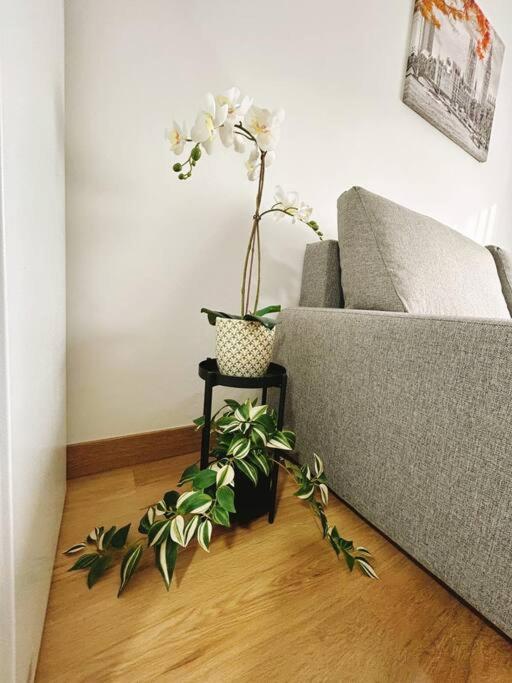 Apartment In The Heart Of מאלגה מראה חיצוני תמונה